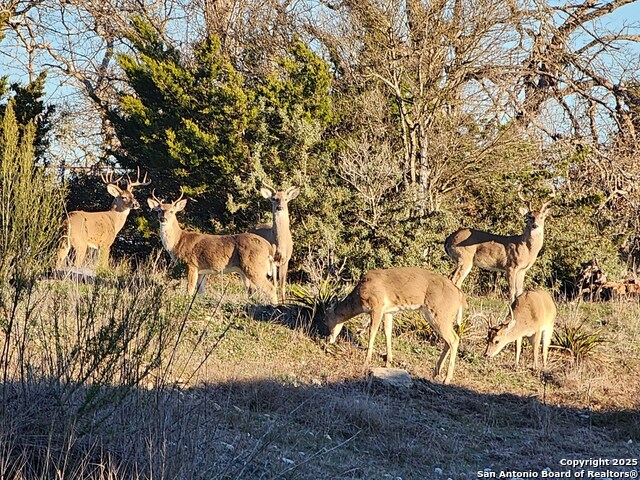 Listing photo id 64 for 2320 Fiedler Road