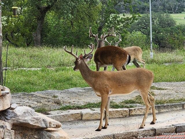 Listing photo id 65 for 2320 Fiedler Road