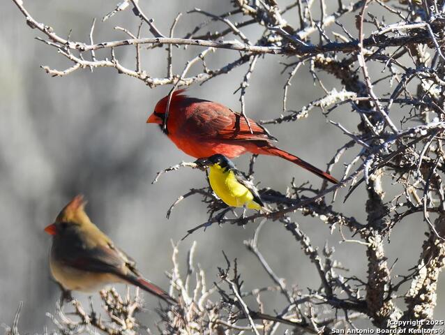 Listing photo id 66 for 2320 Fiedler Road