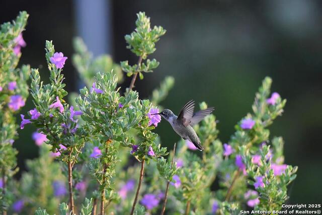 Listing photo id 68 for 2320 Fiedler Road