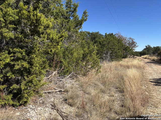 Listing photo id 8 for Lot 85 Headwaters Ranch Road