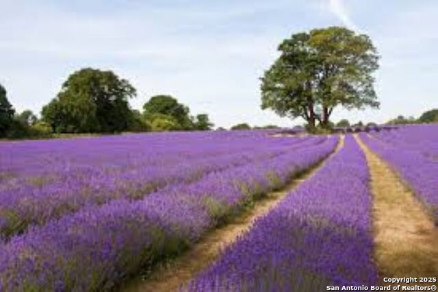 Listing photo id 19 for Lot 85 Headwaters Ranch Road