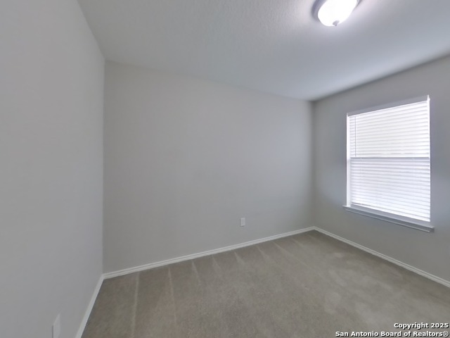 Image 13 of 19 For 13271 Cipresso Palco