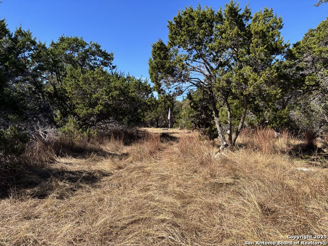 Listing photo id 11 for Lot 86 Headwaters Ranch Road