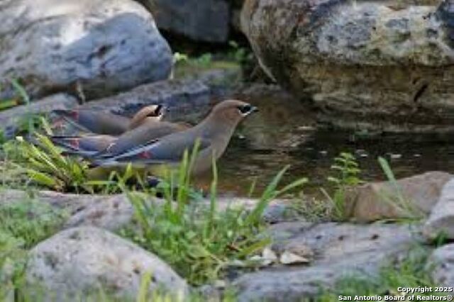 Listing photo id 12 for Lot 86 Headwaters Ranch Road