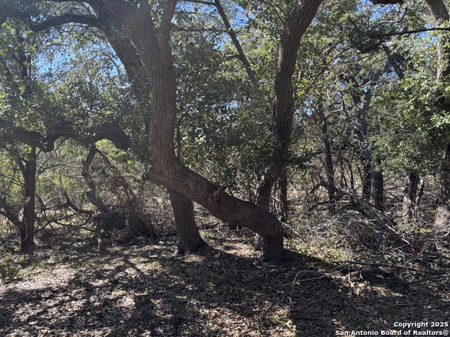 Listing photo id 2 for Lot 86 Headwaters Ranch Road