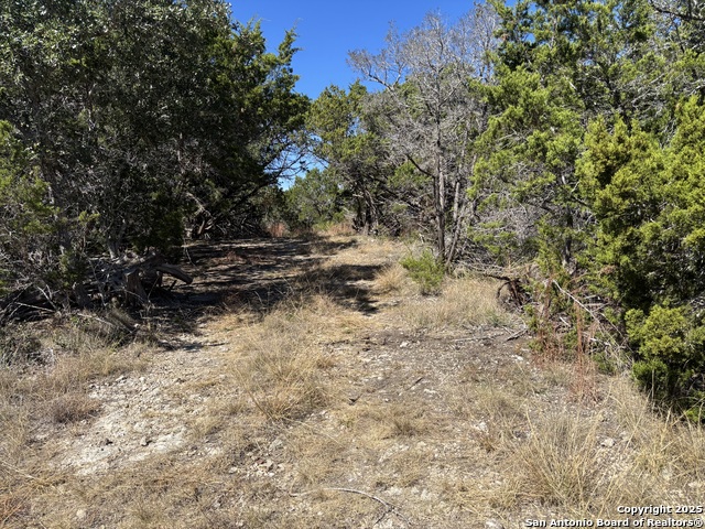 Listing photo id 5 for Lot 86 Headwaters Ranch Road