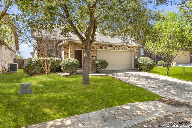 Image 2 of 24 For 10814 Mustang Oak