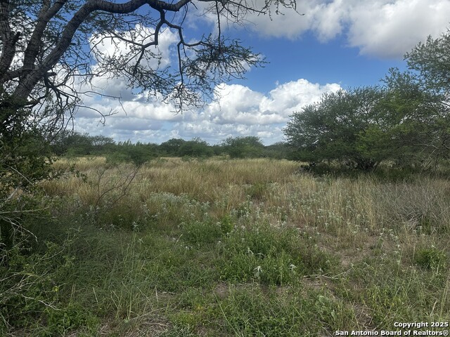 Image 20 of 24 For Tbd County Road 119