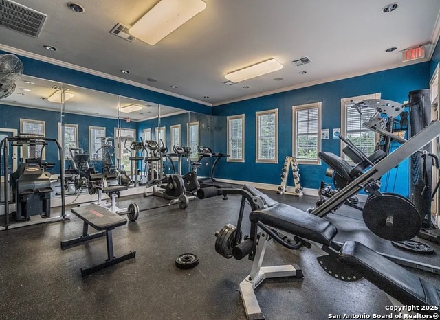 Image 16 of 17 For 1000 Diamond 1301