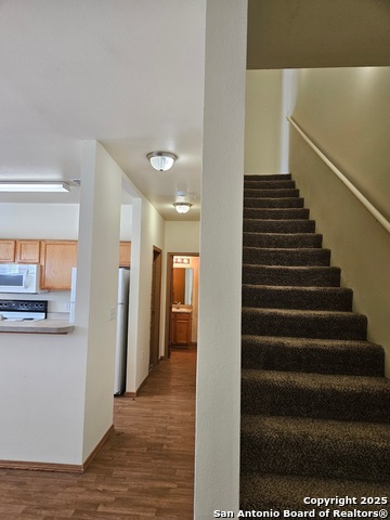 Image 7 of 17 For 1000 Diamond 1301