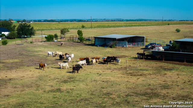 Listing photo id 12 for 2525 Fm 2623