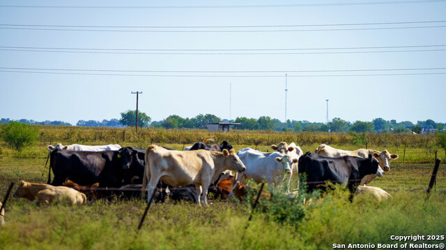 Listing photo id 13 for 2525 Fm 2623