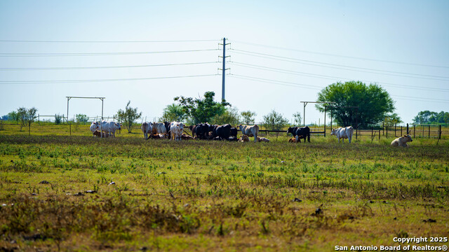 Listing photo id 16 for 2525 Fm 2623