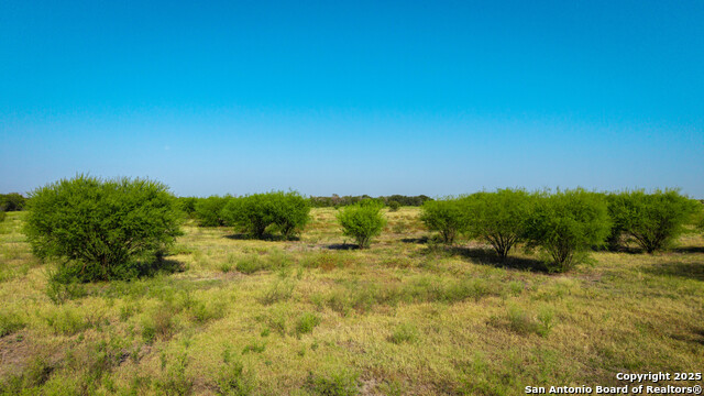 Listing photo id 17 for 2525 Fm 2623