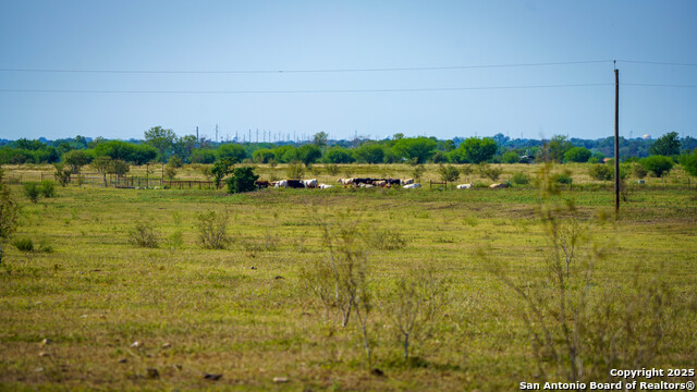 Listing photo id 27 for 2525 Fm 2623