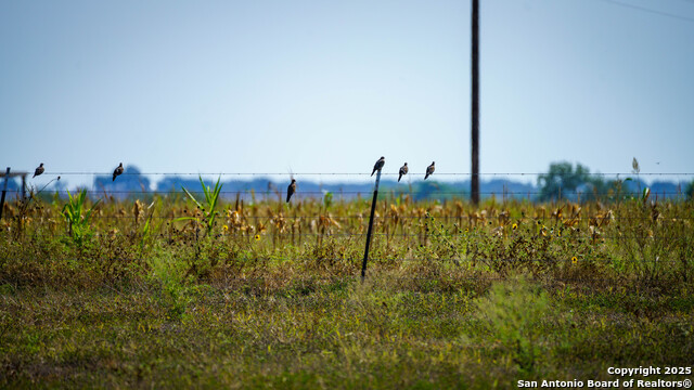 Listing photo id 28 for 2525 Fm 2623