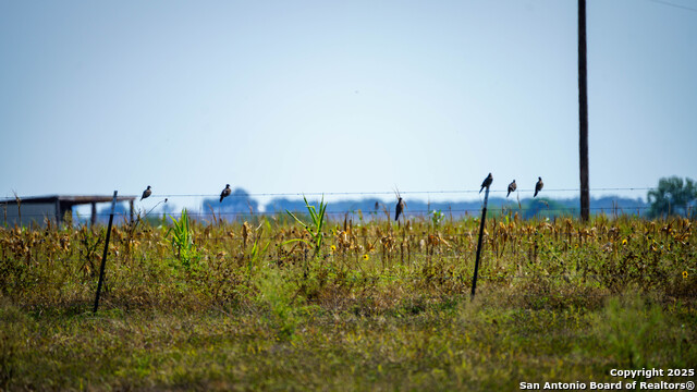 Listing photo id 29 for 2525 Fm 2623