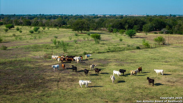 Listing photo id 34 for 2525 Fm 2623