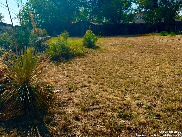 Image 3 of 7 For 13607 Puro Oro