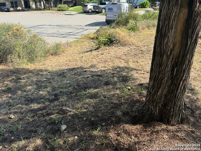 Image 6 of 7 For 13607 Puro Oro