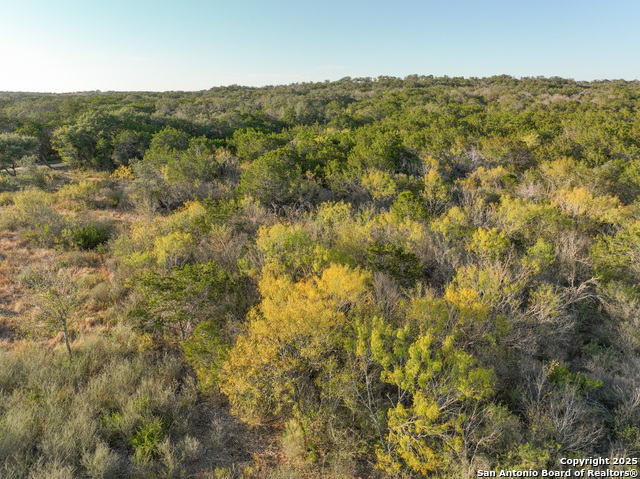 Listing photo id 19 for Lot 179 Valley Oaks Ranch
