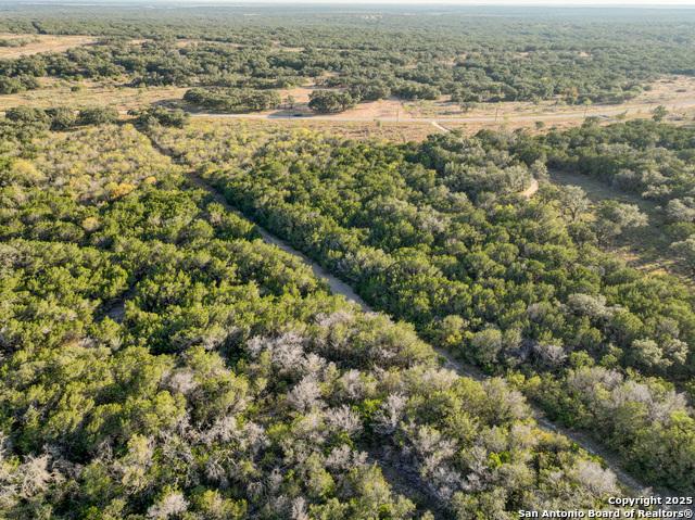 Listing photo id 6 for Lot 179 Valley Oaks Ranch