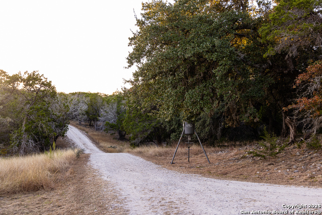 Listing photo id 25 for 174 Cedar Rock Trail