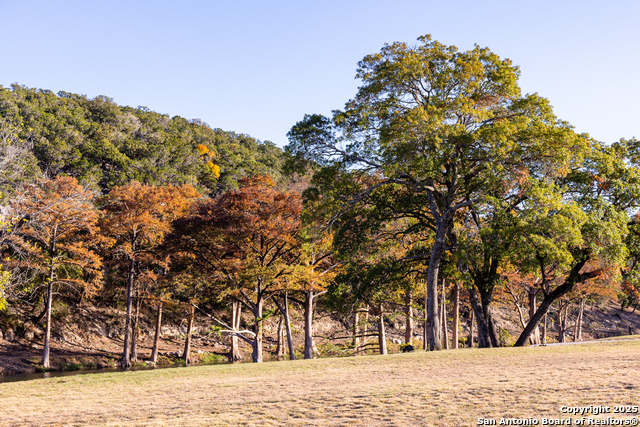 Listing photo id 31 for 174 Cedar Rock Trail