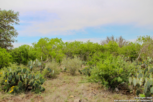 Listing photo id 8 for Tbd Cr 341  