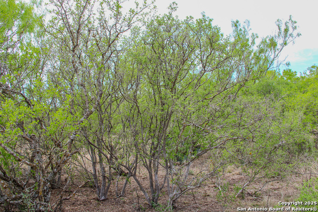 Listing photo id 11 for Tbd Cr 341  