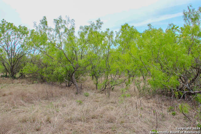 Listing photo id 12 for Tbd Cr 341  