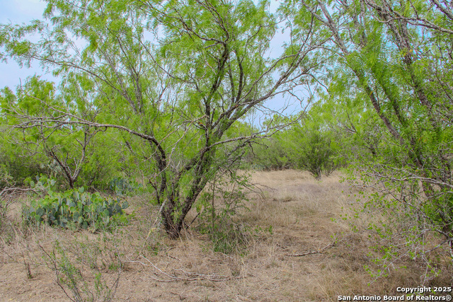 Listing photo id 13 for Tbd Cr 341  