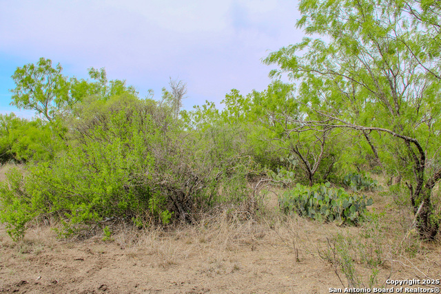 Listing photo id 14 for Tbd Cr 341  