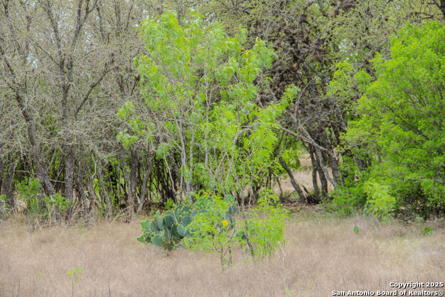 Listing photo id 17 for Tbd Cr 341  