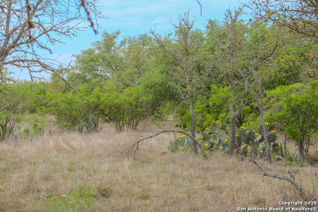 Listing photo id 18 for Tbd Cr 341  