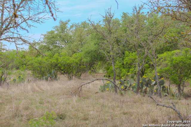 Listing photo id 19 for Tbd Cr 341  