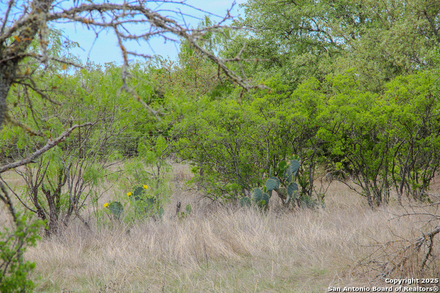 Listing photo id 20 for Tbd Cr 341  