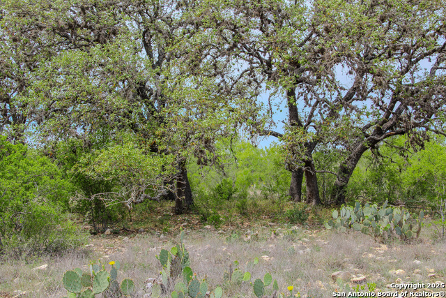 Listing photo id 2 for Tbd Cr 341  