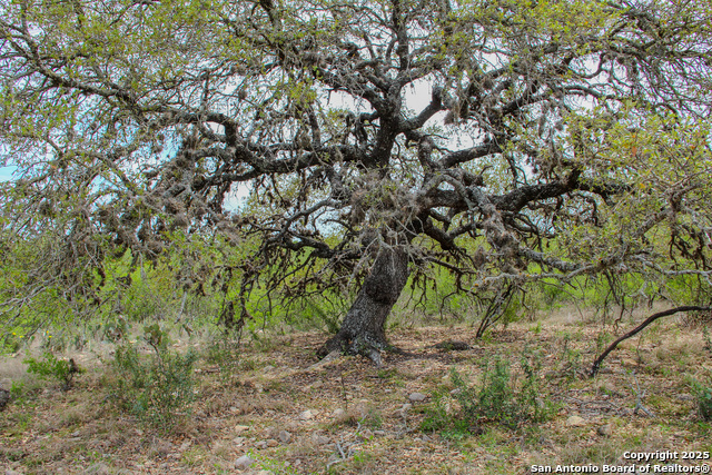 Listing photo id 3 for Tbd Cr 341  