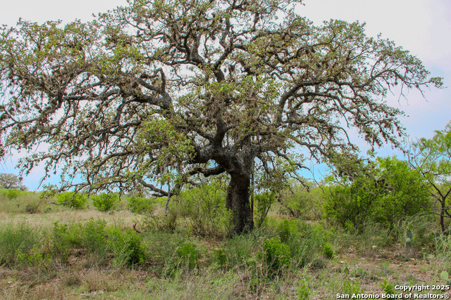 Listing photo id 6 for Tbd Cr 341  