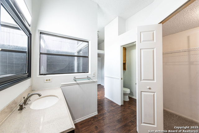 Image 19 of 39 For 4206 Birch Tree