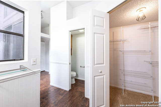 Image 20 of 39 For 4206 Birch Tree