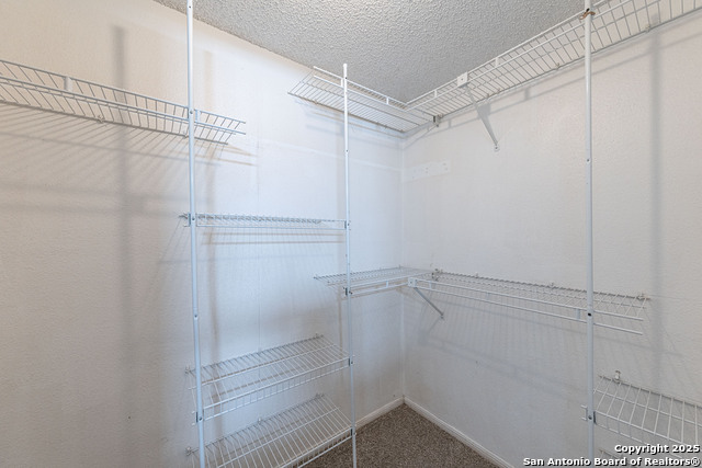 Image 21 of 39 For 4206 Birch Tree