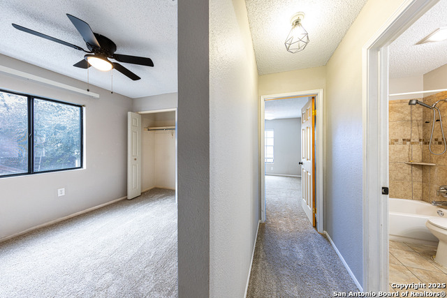 Image 23 of 39 For 4206 Birch Tree