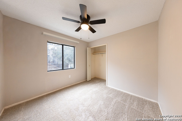 Image 24 of 39 For 4206 Birch Tree