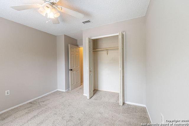 Image 28 of 39 For 4206 Birch Tree