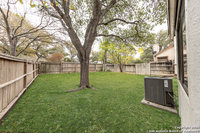 Image 32 of 39 For 4206 Birch Tree