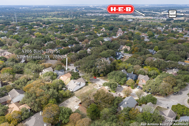 Image 36 of 39 For 4206 Birch Tree