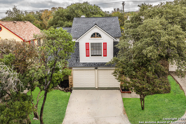 Image 38 of 39 For 4206 Birch Tree